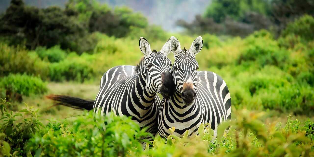Kenya