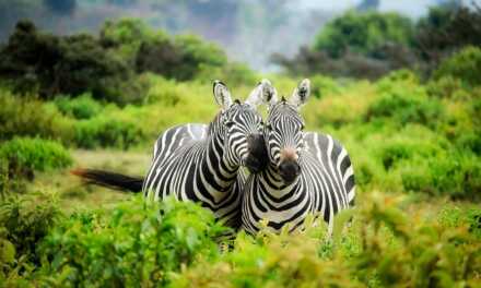 Kenya