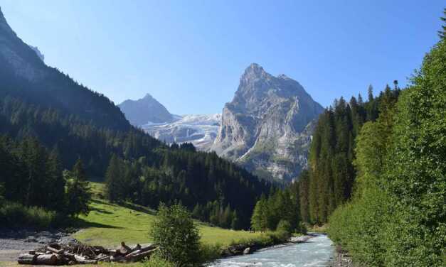 Suisse