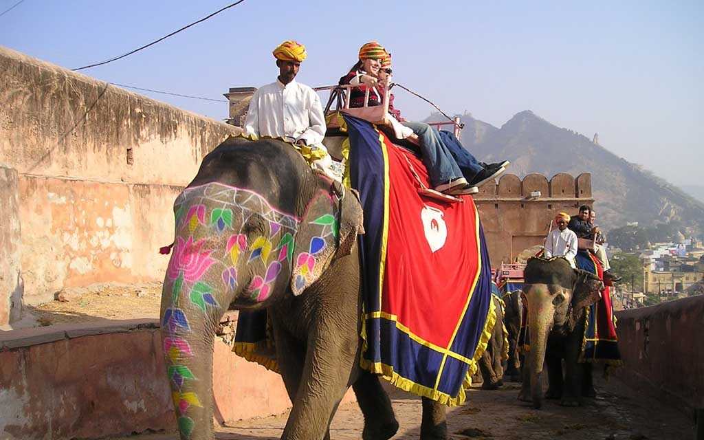 Responsible Wildlife Tourism: Tips And Best Destinations