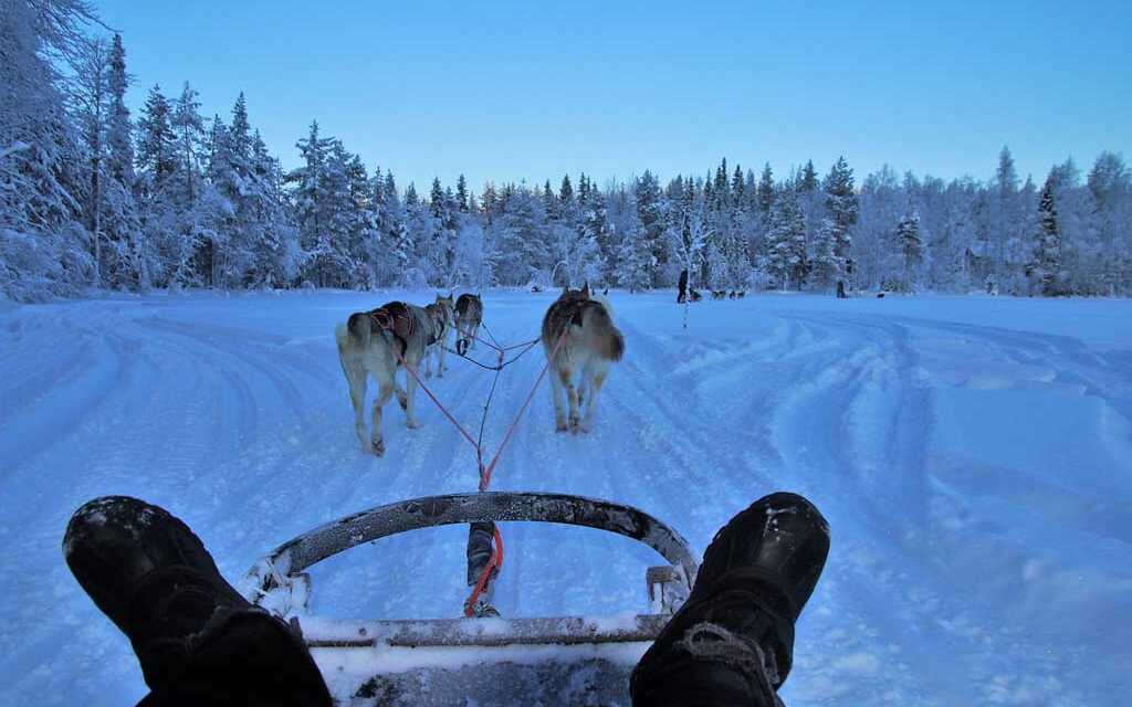 Balade en Chiens de Traîneau : Comment Faire – Top 10 Destinations