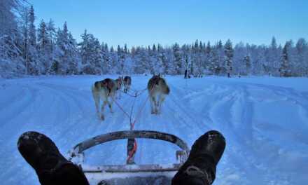 Balade en Chiens de Traîneau : Comment Faire – Top 10 Destinations