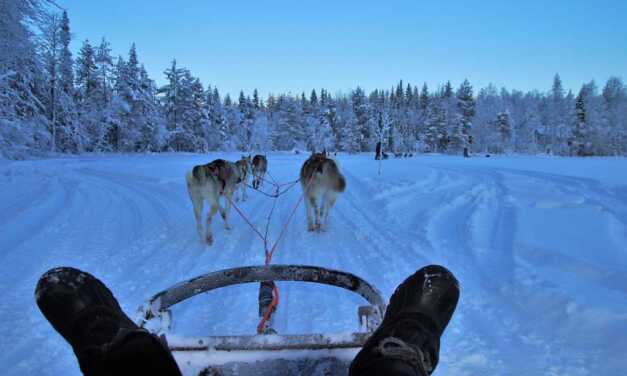 Balade en Chiens de Traîneau : Comment Faire – Top 10 Destinations