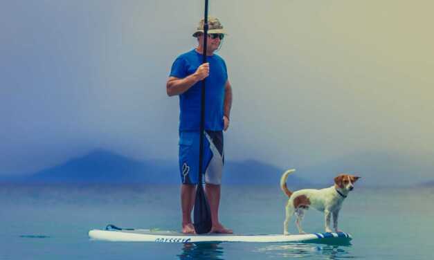 Stand Up Paddle et Yoga Paddle : Quand, Pourquoi et Comment Pratiquer ?