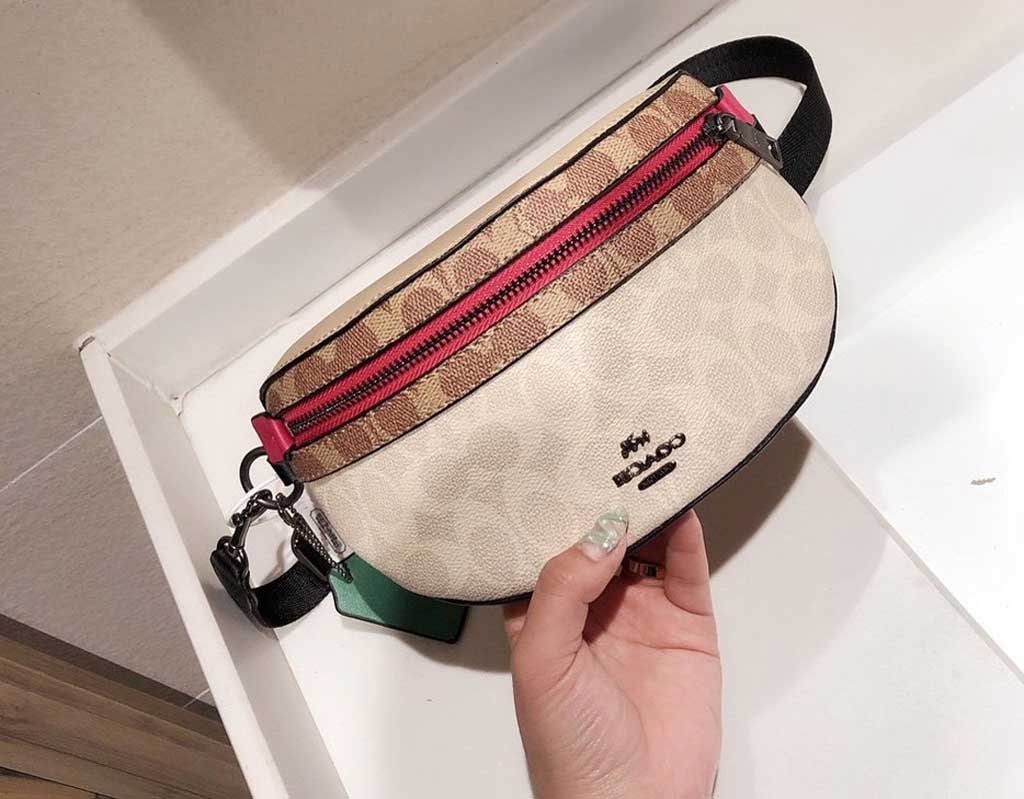 Pochette de Ceinture