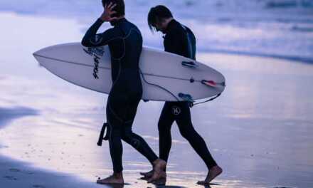 Buying Guide: Choosing Wetsuits for Water Sports