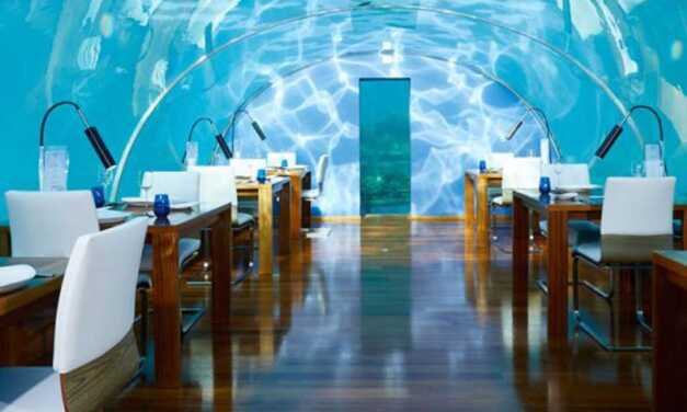 Top 20 des Cafés et Restaurants Insolites du Monde