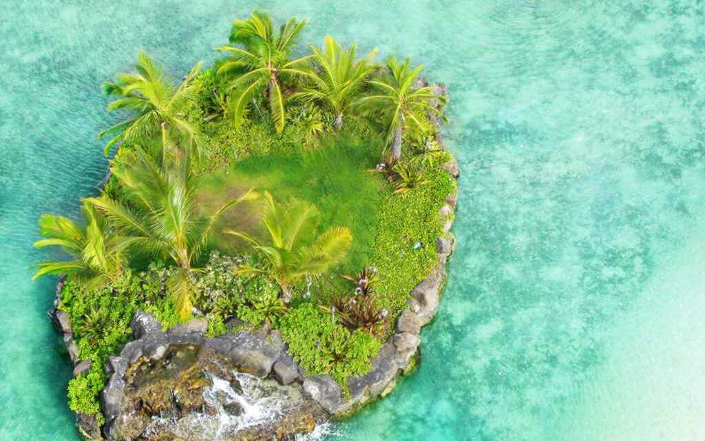 Vivre sur une île déserte, 16 choses à faire et trucs à emporter Trip Contour